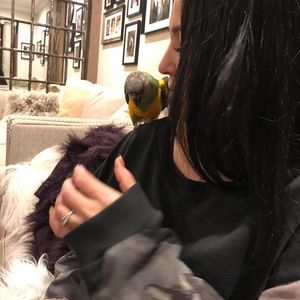 Meet your Posher, Inna